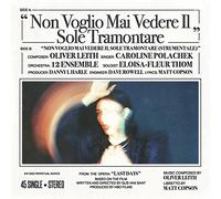 Non Voglio Mai Vedere Il Sole Tramontare