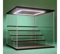 Nonemey Vetrina in Acrilico Trasparente con Luce a Led,2/3/4/5/6 Tier Teca Espositiva di Immagazzinaggio,Organizzatrice Antipolvere Vetrina Espositiva per Collezionismo((Nero, 5Tier-31.5x31x30 cm)