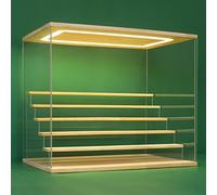 Nonemey Vetrina in Acrilico Trasparente con Luce a Led,2/3/4/5/6 Tier Teca Espositiva di Immagazzinaggio,Organizzatrice Antipolvere Vetrina Espositiva per Collezionismo(Legno, 6Tier-49x30x40 cm)