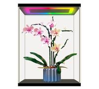 Nonemey Vetrina in Acrilico Trasparente con Luce,Teca Plexiglass per Collezionismo,Modello Antipolvere Vetrina Organizzatore Box,Vetrina Espositiva per Collezionismo (Nero, x35x20x44 cm)