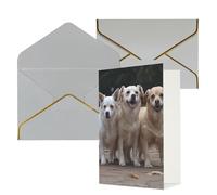 NONHAI Biglietti di auguri con buste Thinking of You, biglietto vuoto con tre cani, biglietti di auguri per compleanno, baby shower, congratulazioni, matrimonio, ringraziamento, tutte le occasioni