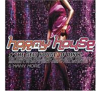 Nonstop Megamix (CD Compilation, 40 Tracks, Various Artists) Michi Lange - Brothers & Siters (Original Mix) / First Choice - The Player (Boris Dlugosch / Mousse T. Remix) / Gusto - Disco's Revenge (Females Revenge Mix) / LA Menace - Deep Menace (Spank)(Joey Negro's One Way Mix) etc..