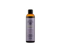 Nook Magic Argan oil ritual blonde shampoo 250 ml