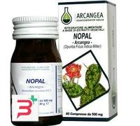 NOPAL 60 CAPSULE 500 MG