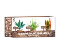 NOPALIA® Kit de Plantas Suculentas y Aloe Vera - Cultiva Tu Propio Mini Jardín - Agave, Carpobrotus y Aloe Vera - Regalo Ecológico y Original - Decoración para Casa y Oficina - DIY