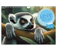 Nope - Heute Nicht (Wandkalender 2026 DIN A4 quer), CALVENDO Monatskalender: Vergessen Sie den Leistungsdruck hier wird gechillt, entspannt, relaxet und der Tag einfach Tag sein gelassen.