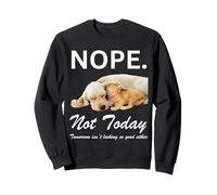 Nope Not Today - Gatto gattino cucciolo che dorme divertente Felpa
