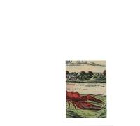 Nora M. Alter Fragments of a Crisis (Tascabile)