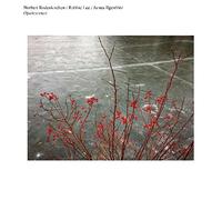 Norbert Rodenkirchen/Robbie Lee/James Ilgenfritz - Opalescence