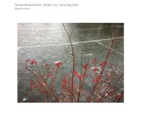 Norbert Rodenkirchen/Robbie Lee/James Ilgenfritz - Opalescence