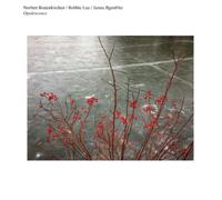 Norbert Rodenkirchen/Robbie Lee/James Ilgenfritz Opalescence (Vinyl LP)