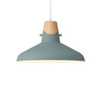 Nordic Pendant Lamp - Creative Personality Chandelier, Colorful Metal Lampshade for Daily Home, Ceiling Hanging Lantern with E27 Base(Green,13.7in)