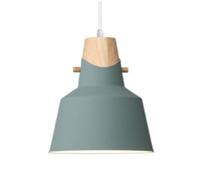 Nordic Pendant Lamp - Creative Personality Chandelier, Colorful Metal Lampshade for Daily Home, Ceiling Hanging Lantern with E27 Base(Green,8.6in)