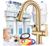 Nordic Rubinetto da cucina con osmosi inversa, RO7, 7 livelli, 75 GPD | Sistema di filtraggio dell'acqua, beccuccio separato per acqua filtrata, doccetta estraibile, funzione girevole doppio manico