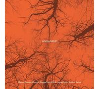 Myhren, Groven & Wesseltoft, Bugge Nordjordet – Nordjordet – CD