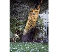 Nordlux 77029934 Taurus Faretto LED da giardino LED (monocolore) GU10 28 W acc