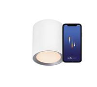 nordlux Landon Smart lampada a soffitto, LED, 2110840101, Landon Smart; Landon [Lampade per Interni > Lampade a Soffitto]