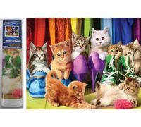 NORIMPEX pittura diamantata gatti con le scarpe 30 × 40 cm
