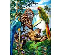 Norimpex pittura diamante con pappagalli e leopardi 30x40 cm