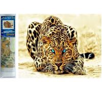 Norimpex pittura diamante leopardo in agguato 30x40cm