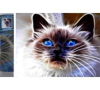 Norimpex - Puzzle Diamante Pittura Gatto magico 30x40cm - 1-39 Pezzi