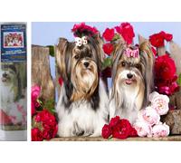 Norimpex - Puzzle Diamond Painting Cani in rose 30x40cm - 1-39 Pezzi