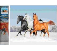 Norimpex - Puzzle Diamond Painting Konské trio 30x40cm - 1-39 Pezzi
