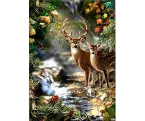 Norimpex - Puzzle Dipinto a diamante: Cervo e cerva presso un ruscello nella foresta 30x40 cm - 1-39 Pezzi
