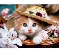 Norimpex - Puzzle Dipinto diamante: Gattino con cappello di paglia 30x40 cm - 1-39 Pezzi