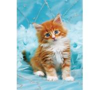 Norimpex - Puzzle Dipinto diamante: Gattino dai capelli rossi su sfondo blu 30x40 cm - 1-39 Pezzi