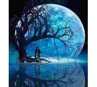 Norimpex - Puzzle Dipinto diamante: Luna sul lago 30x40 cm - 1-39 Pezzi