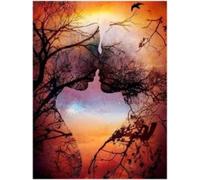 Norimpex - Puzzle Dipinto diamante: Vecchio amore 30x40 cm - 1-39 Pezzi