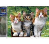 Norimpex - Puzzle Pittura Diamante Gatti 30x40cm - 1-39 Pezzi
