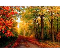 Norimpex - Puzzle Quadro Diamant: Autunno nel bosco 30x40cm - 1-39 Pezzi