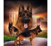 Norimpex - Puzzle Quadro Diamant: Branco di pastori tedeschi 30x40cm - 1-39 Pezzi