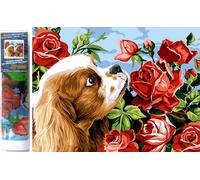 Norimpex - Puzzle Quadro diamant: Cavalier King Charles spaniel 30x40cm - 1-39 Pezzi