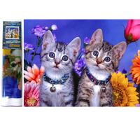 Norimpex - Puzzle Quadro diamant: Due gattini 30x40cm - 1-39 Pezzi