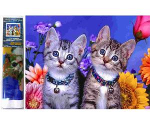 Norimpex - Puzzle Quadro diamant: Due gattini 30x40cm - 1-39 Pezzi