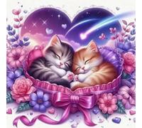 Norimpex - Puzzle Quadro Diamant: Gattini addormentati 30x40cm - 1-39 Pezzi