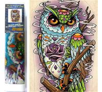 Norimpex - Puzzle Quadro diamante: Gufo Magio 30x40cm - 1-39 Pezzi