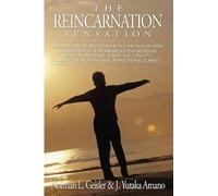 Norman L Geisler J Yutaka Amano The Reincarnation Sensation (Tascabile)