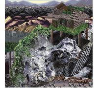 Norman W. Long BLACK BROWN GRAY GREEN (CD)