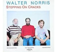 Norris Walter Trio - Steppin on Cracks