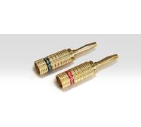 Norstone Spinotto Connettore Banana 4 pezzi Placcati in Oro NORBANX4