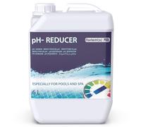 Nortembio pH- Minus Liquido Riduttore di pH per Piscine e Spa, Regolatore dell’Equilibrio dell’Acqua, Migliora l’Efficacia del Cloro, Manutenzione Professionale (6 L)