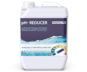Nortembio pH- Minus Liquido Riduttore di pH per Piscine e Spa, Regolatore dell’Equilibrio dell’Acqua, Migliora l’Efficacia del Cloro, Manutenzione Professionale (6 L)