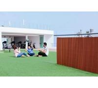 Nortene | Vimini Ecologici Lop Vimini 2x3 M | Recinzione Sostenibile Ad Alta Durabilità | Decorativo Per Giardino, Terrazza E Balcone