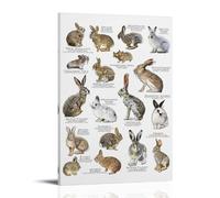 North American Rabbits - Decorazione moderna per la casa, 50 x 75 cm