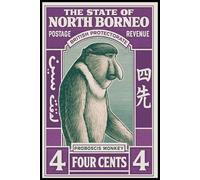 North Borneo Proboscis Monkey Notebook: College Ruled - 110 Lined Pages for Journaling, Writing, and Daily Notes - Compact 6x9" Size with Glossy Cover