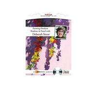 North Light Painting Outdoor Shadows in Pastel with Deborah Secor DVD